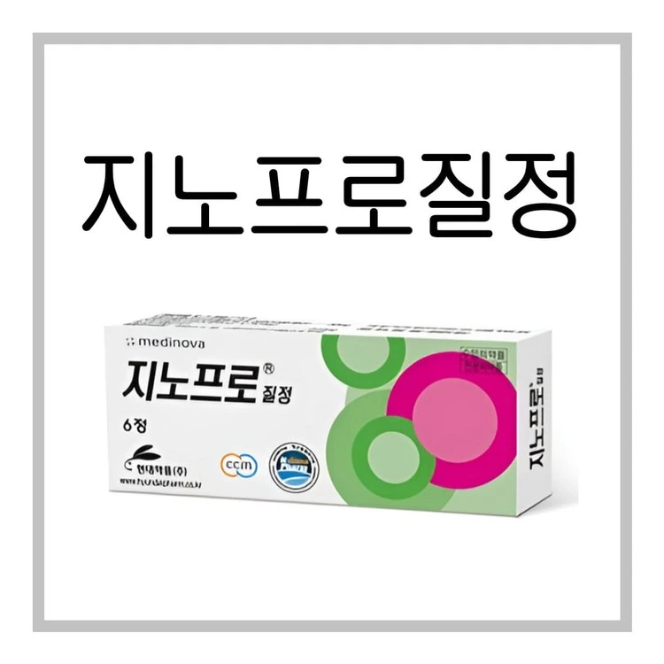 지노프로질정-이미지