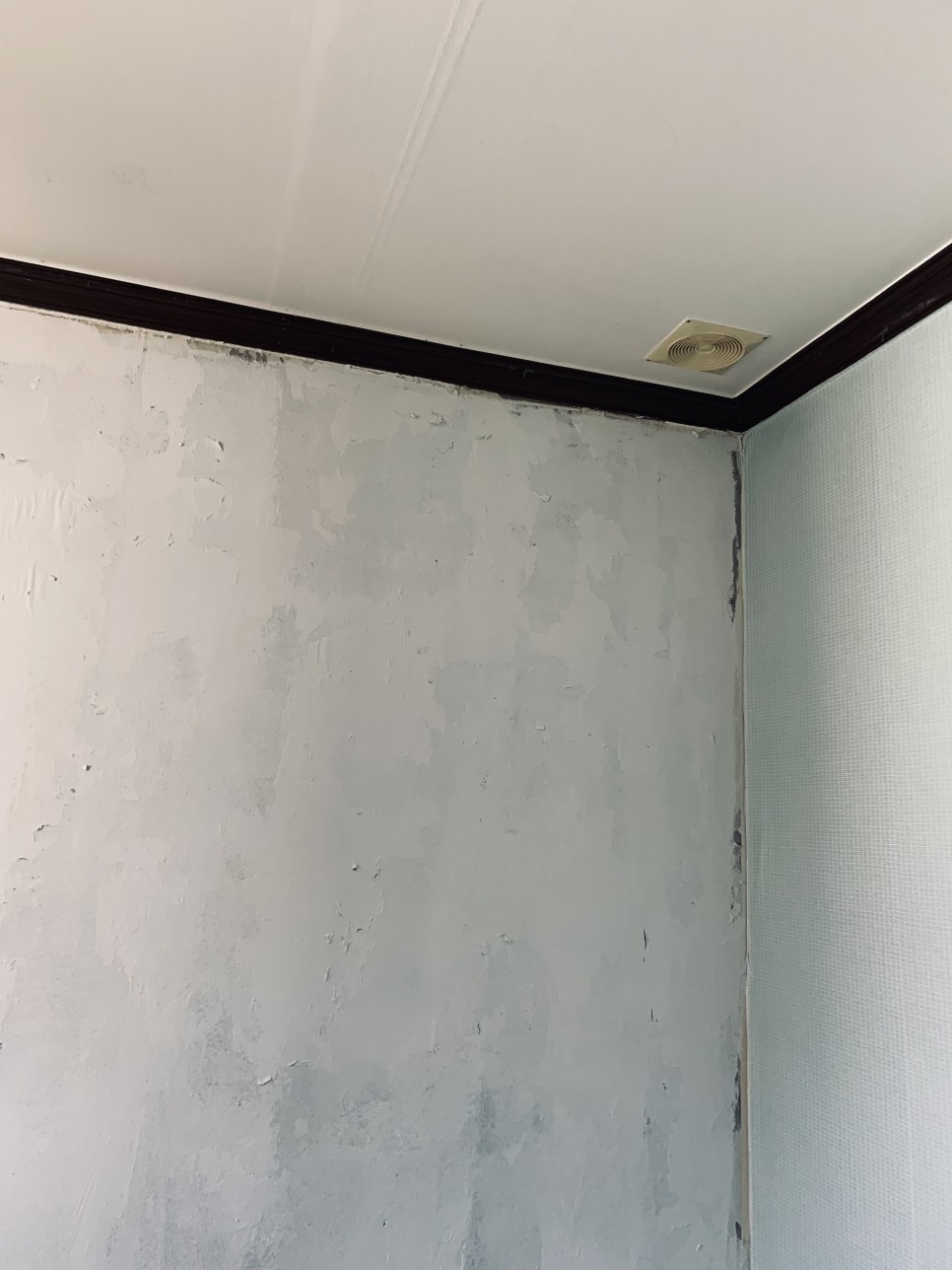 벽지곰팡이 제거 6