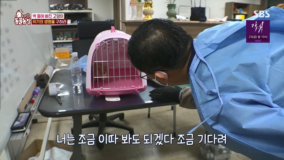 TV 동물농장.E1124.230611p.H264-F1RST.mp4_20230611_173547.076.jpg