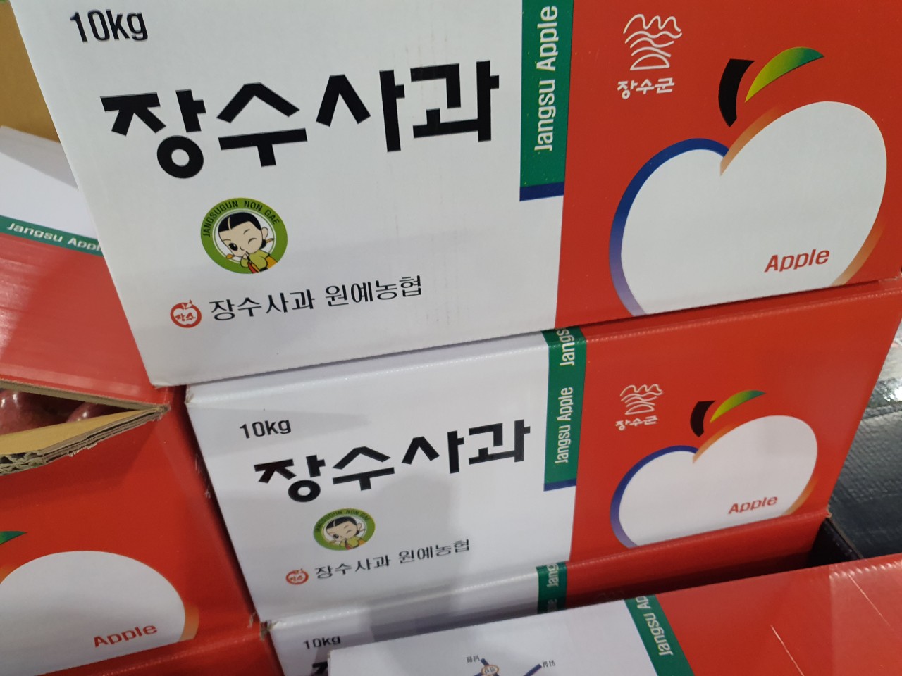 장수대박 이미지