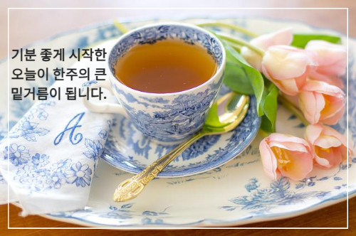 큰 접시 위 차 한잔과 분홍색 꽃