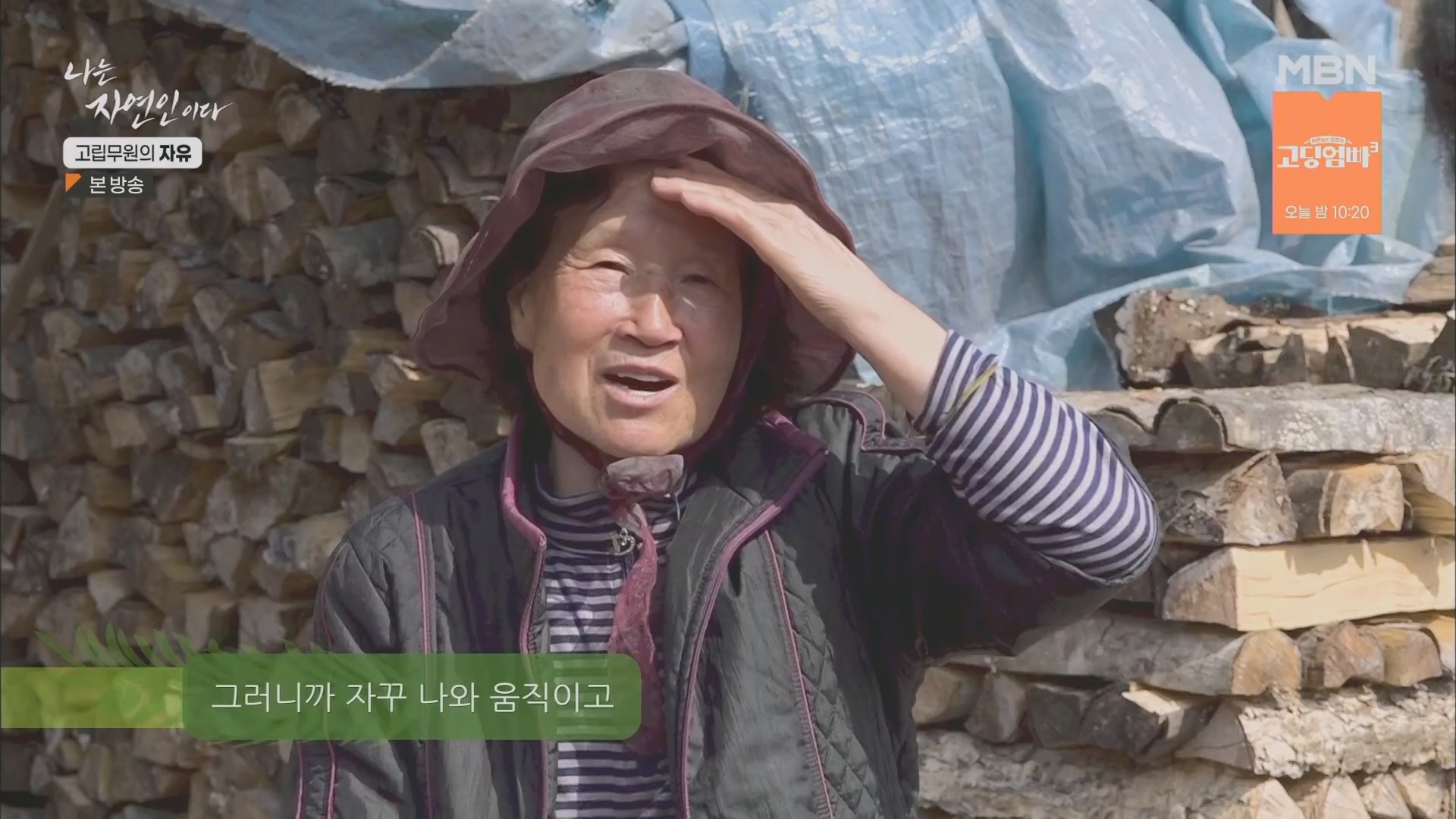 나는 자연인이다.E549.230412p.H264-F1RST.mp4_20230413_213158.413.jpg