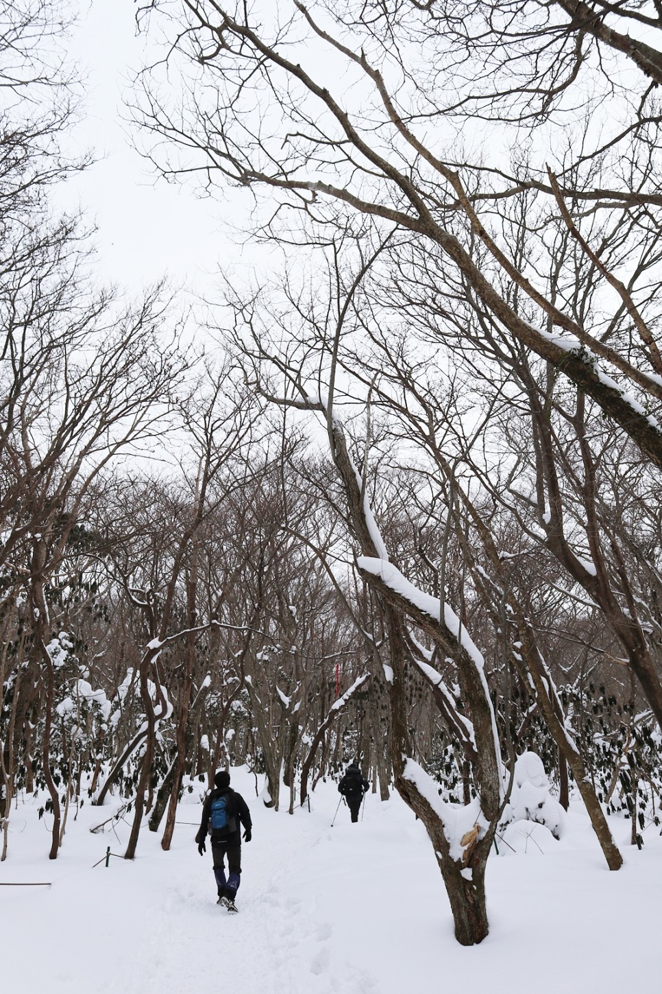 눈쌓인 겨울산 이미지 56