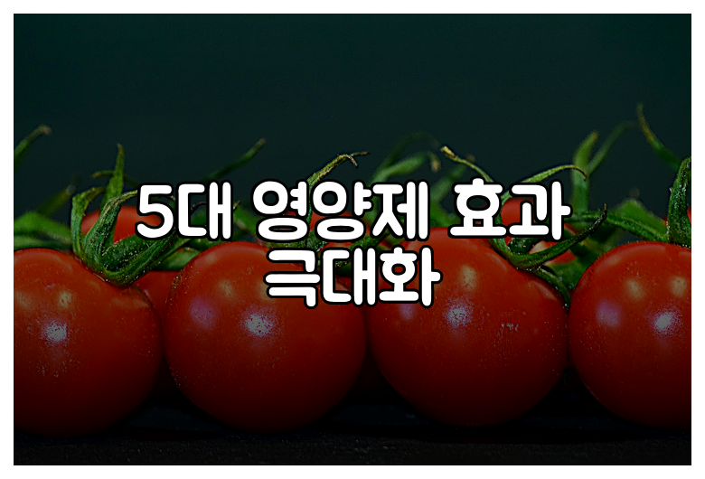 5대 영양제 효과 극대화