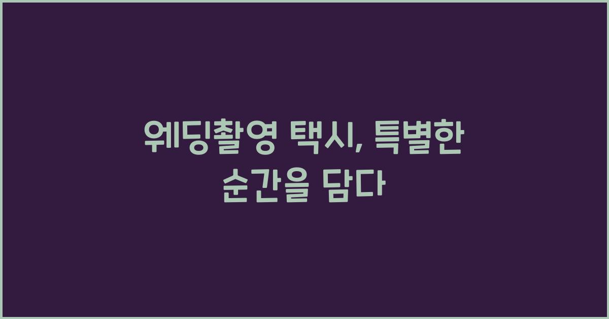 웨딩촬영 택시