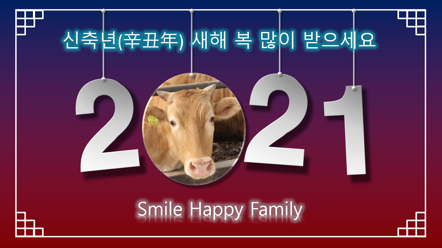  [새해인사]2021년 신축년 대박나세요!!