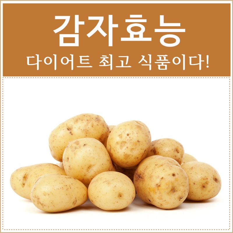  감자 효능 다이어트에 좋다!