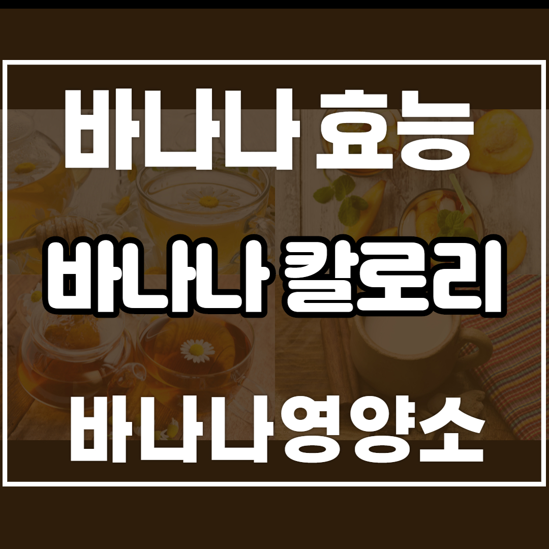  바나나 효능 칼로리 영양소