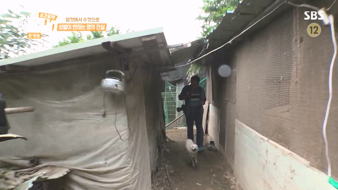 순간포착 세상에 이런일이.E1248.231015p-NEXT.mp4_20231015_164802.730.jpg