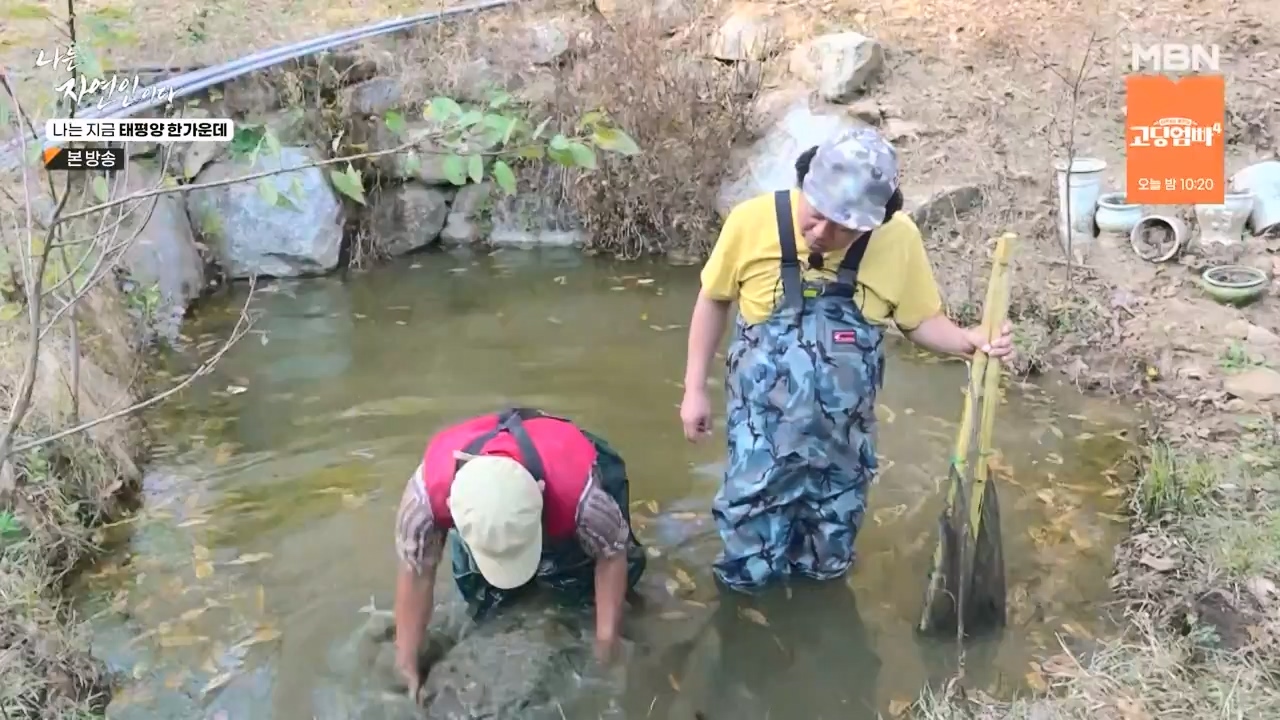 나는 자연인이다.E581.231123p-NEXT.mp4_20231123_200714.814.jpg