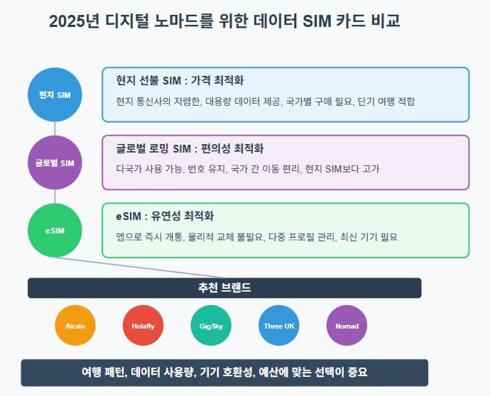 2025년 디지털 노마드를 위한 데이터 SIM 카드 비교