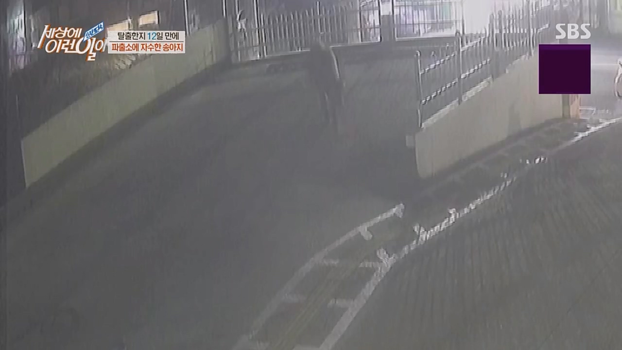 순간포착 세상에 이런 일이.E1217.230215p.WANNA.mp4_20230215_194720.357.jpg