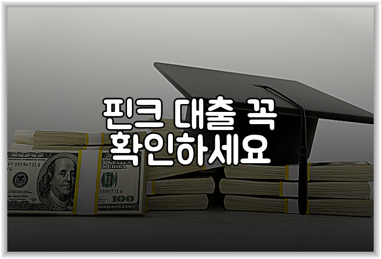 핀크 대출 꼭 확인하세요
