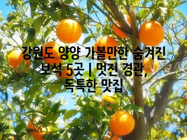 랜덤168