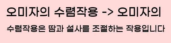  2. 오미자의 수렴작용 -> 오미자의 수렴작용은 땀과 설사를 조절하는 작용입니다.