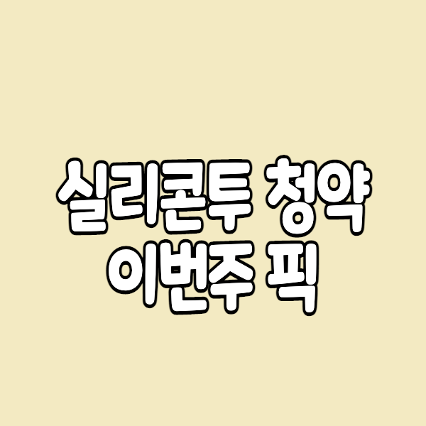  실리콘투 공모주 청약 수요예측 결과는?