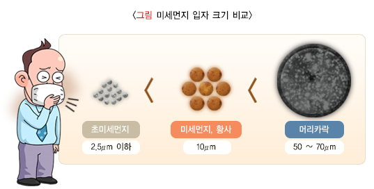 황사-미세먼지 비교