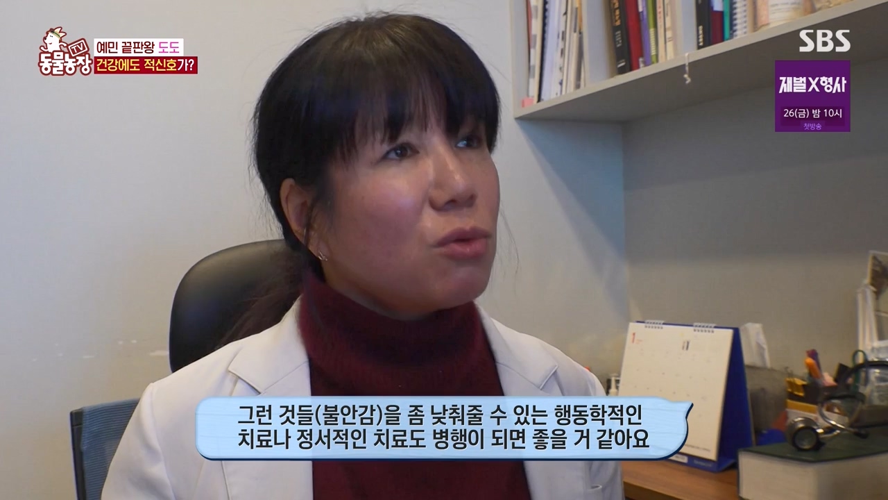 TV 동물농장.E1155.240122p-NEXT.mp4_20240121_145943.090.jpg