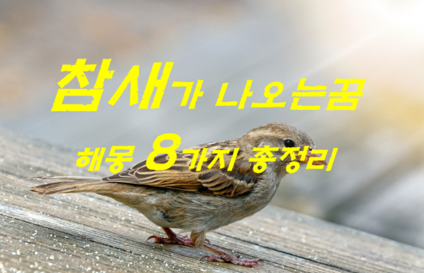  참새꿈 해몽 8가지 총정리