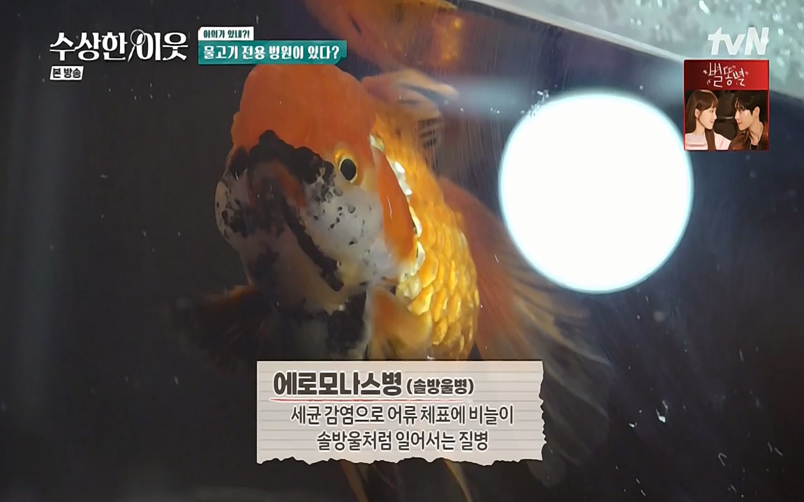 수상한 이웃.E04.220422p-NEXT.mp4_20220424_184959.909.jpg