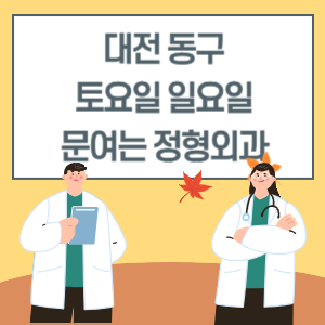 대전 동구 토요일 일요일 정형외과 진료 병원 리스트