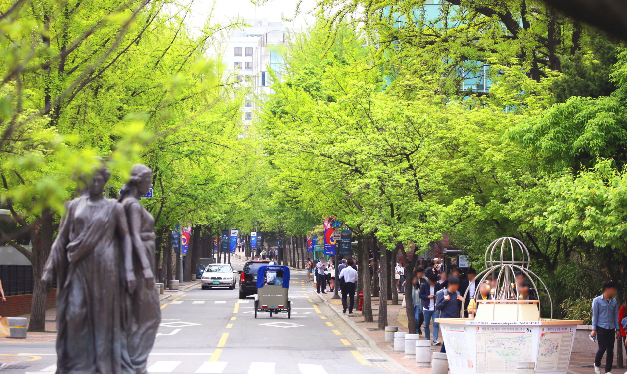 정동 이미지