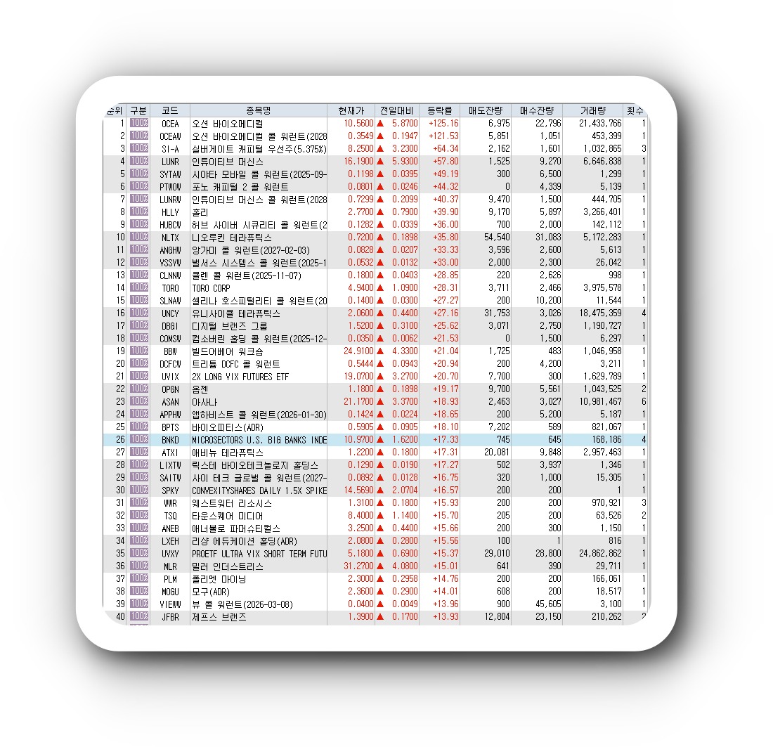  3월9일 미국주식 상승률 상위 종목 TOP 300