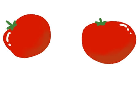 tomato image-05