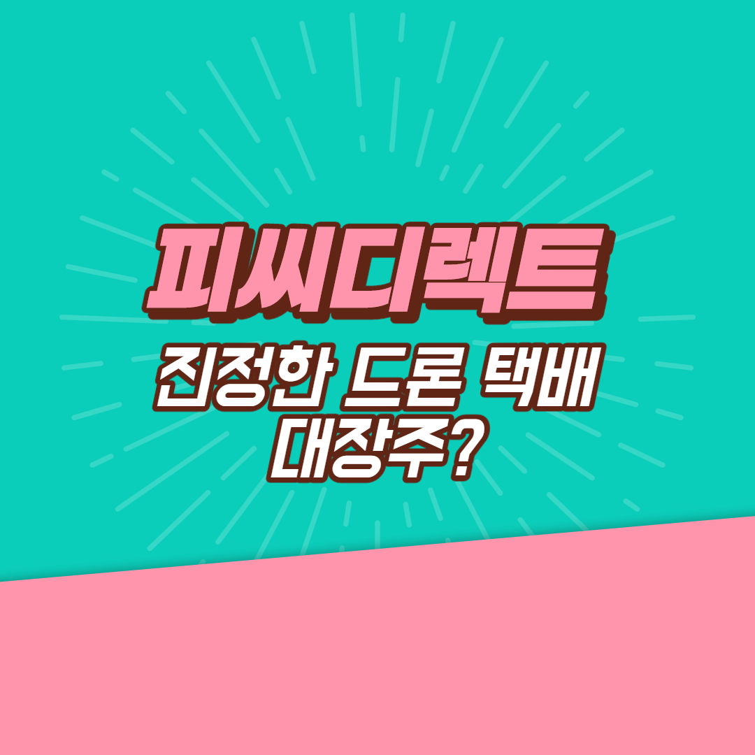  피씨디렉트, 진정한 드론 택배 대장주?