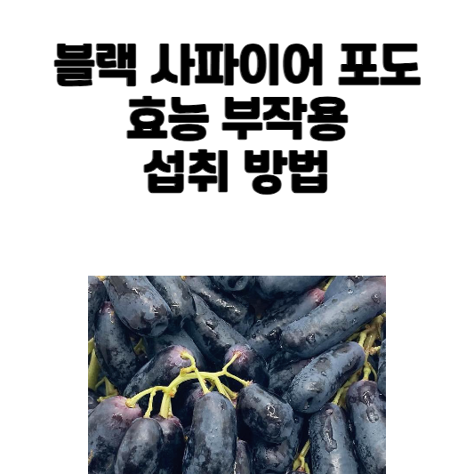 블랙 사파이어 포도의 효능&#44; 부작용 및 섭취 방법