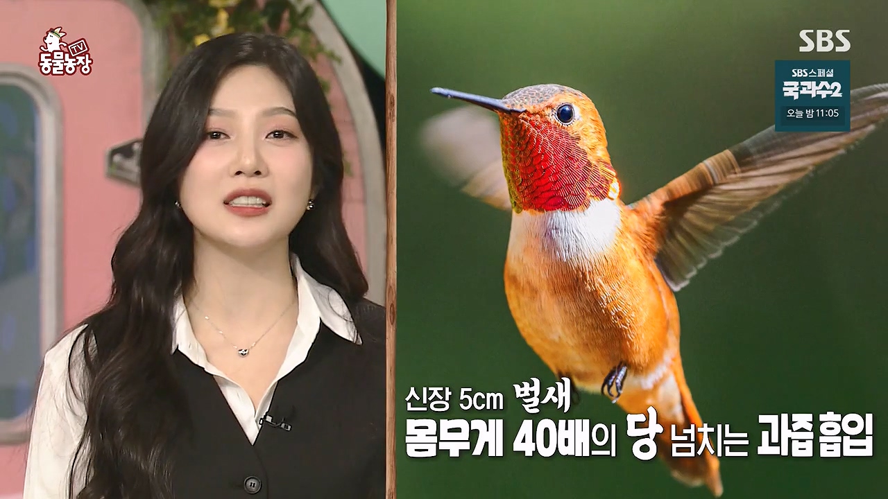 TV 동물농장.E1137.230911p-NEXT.mp4_20230910_174754.954.jpg