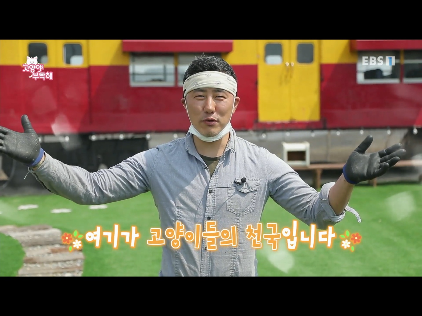  고양이를 부탁해 160회 고양이 천국을 아시나요?