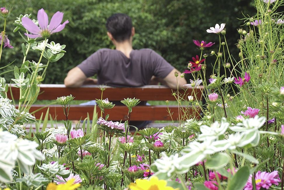 세제 혜택 자세히 보기