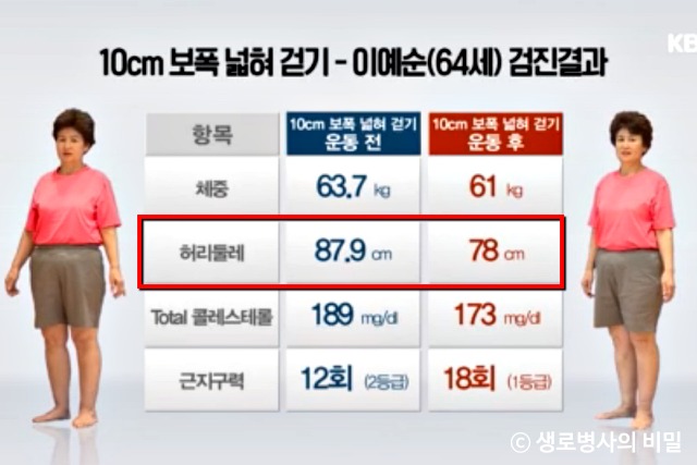 다이어트, 체지방, 생로병사의 비밀, 보폭 10cm 더 넓혀 걷기 운동 효과, 건강, 팁줌마 매일꿀정보