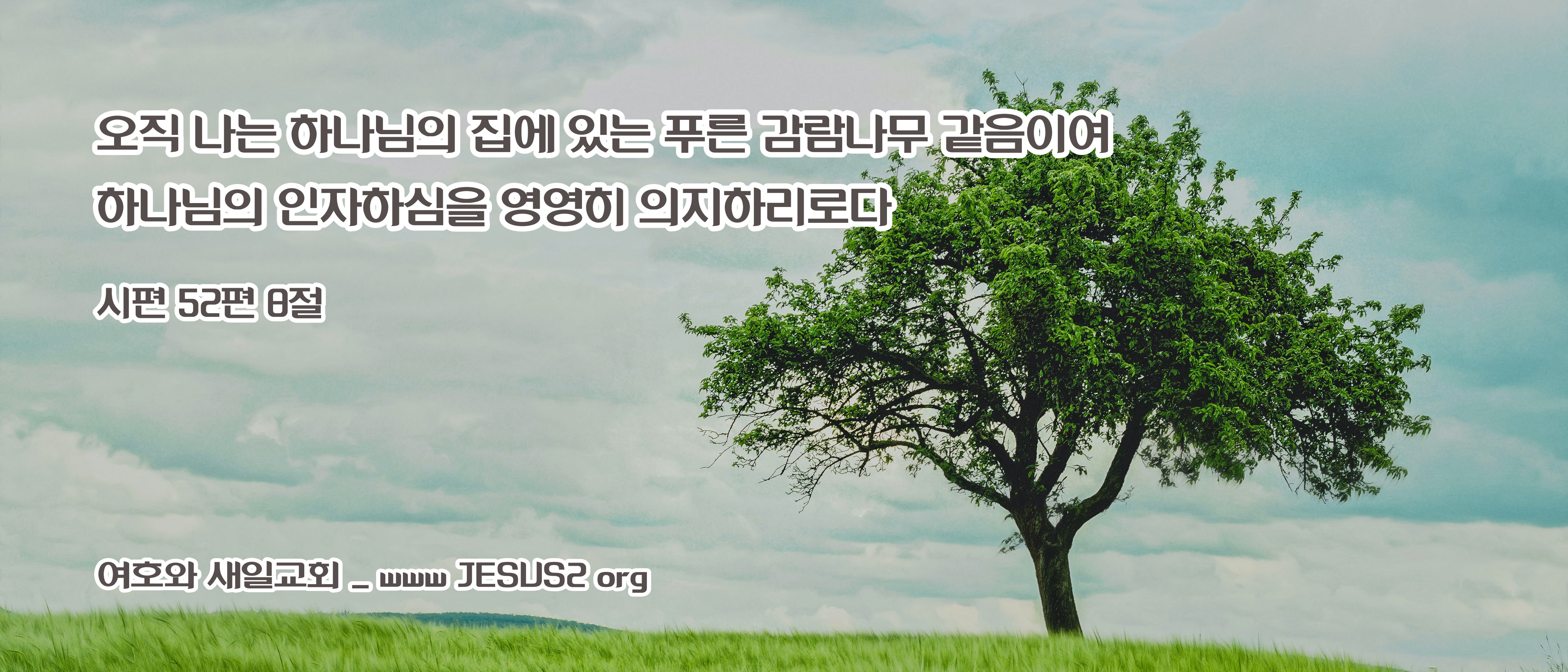  마가복음 3장