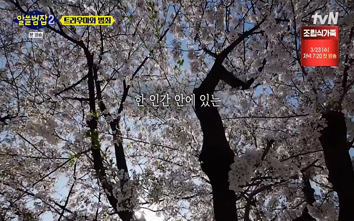 알쓸범잡 2.E11.220321p-NEXT.mp4_20220321_184914.057.jpg