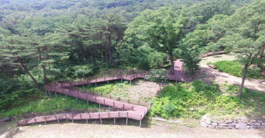  미숭산 자연휴양림 산책로