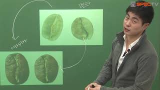  바리스타 2급 필기, 바리스타 자격증 전체 강의 - 총 34 강