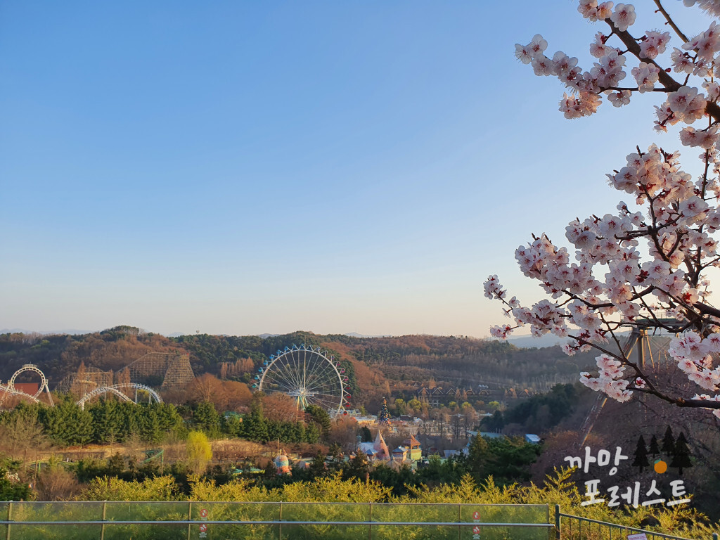 에버랜드 하늘정원길