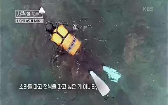 [4회] 자연의 철학자들 - KBS행복하냐고 묻는다면] 흙과 돌, 숲과의 눈맞춤 그리고 물속에서의 숨소리까지 오롯이 김창옥.ts_20220329_191203.354.jpg