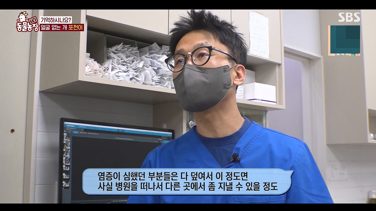 TV 동물농장.E1137.230911p-NEXT.mp4_20230910_183223.652.jpg