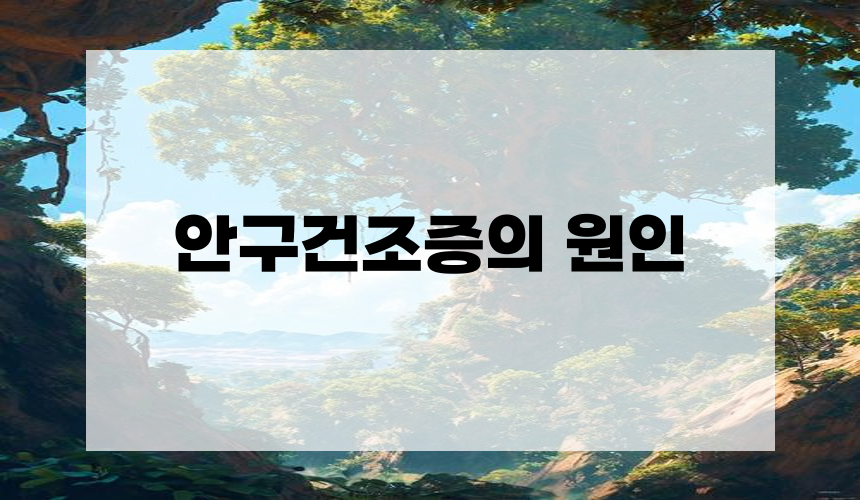 안구건조증의 원인