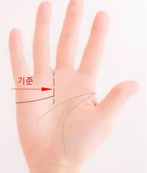 중지와 약지 사이에 있는 감정선