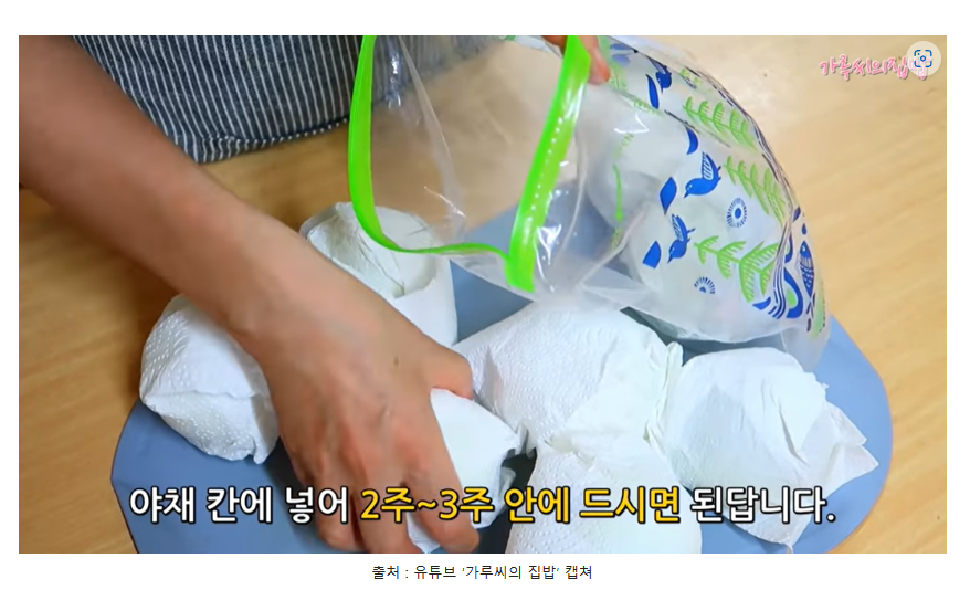 양파보관법