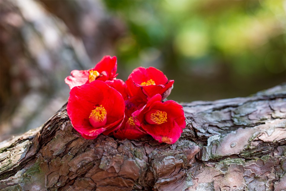 윤스테이 구례 구례 가볼만한곳 윤스테이 30
