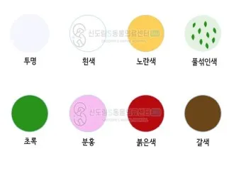 강아지 토 색깔 증상 강아지 토하는 원인과 구토 종류별 건강상태 살펴보기_16