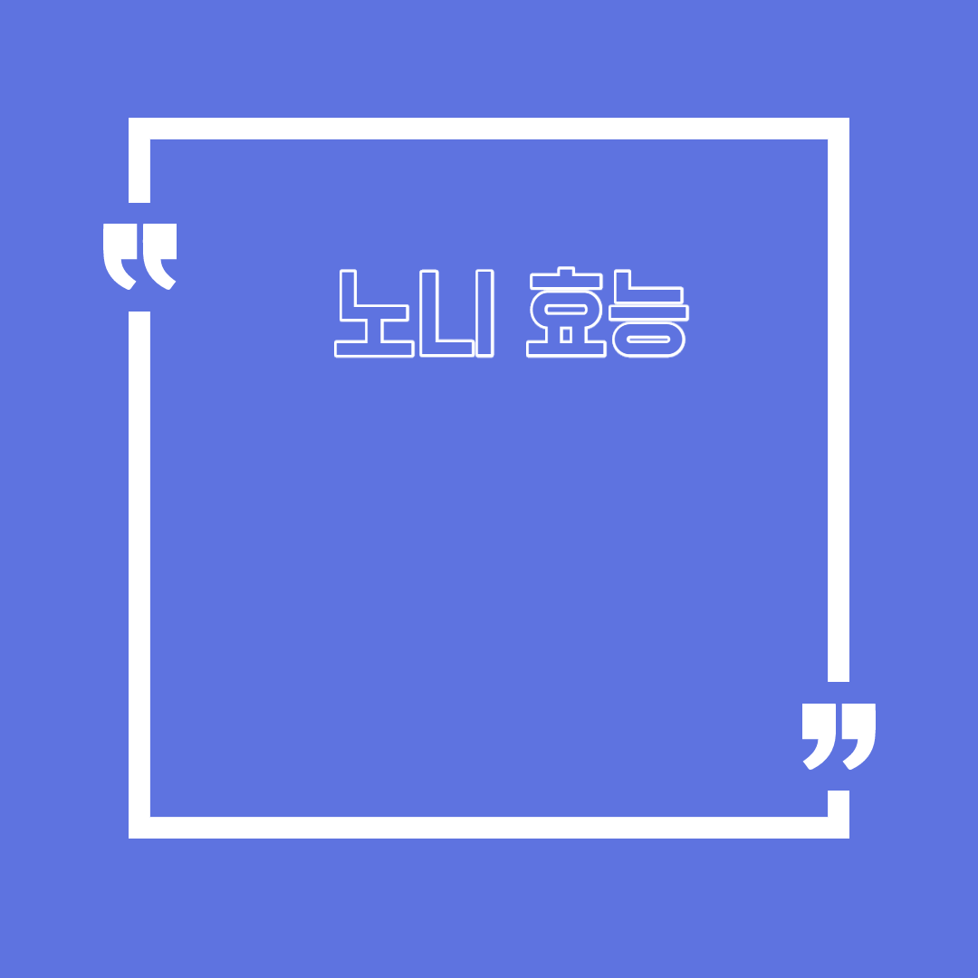  노니 효능