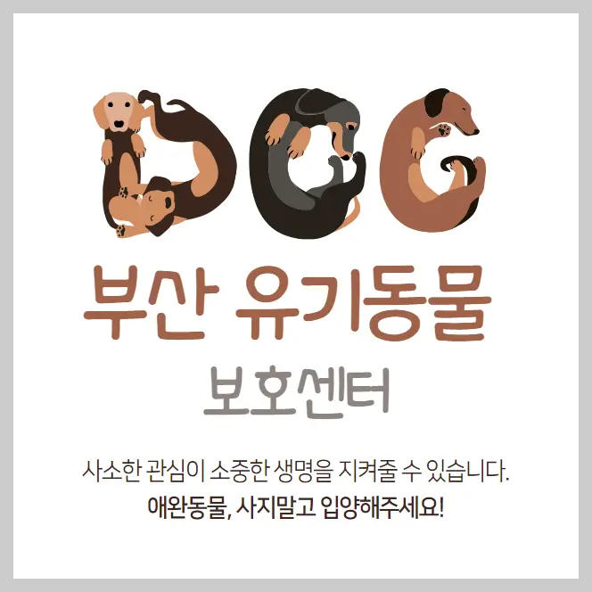 부산-유기동물보호센터-강아지-고양이-유기-동물-보호소