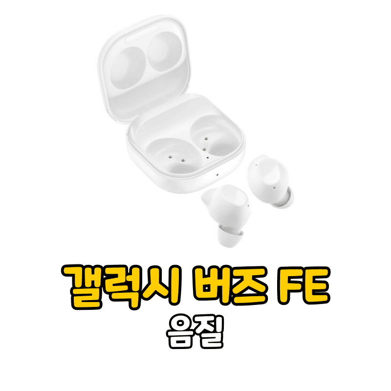 갤럭시 버즈 FE