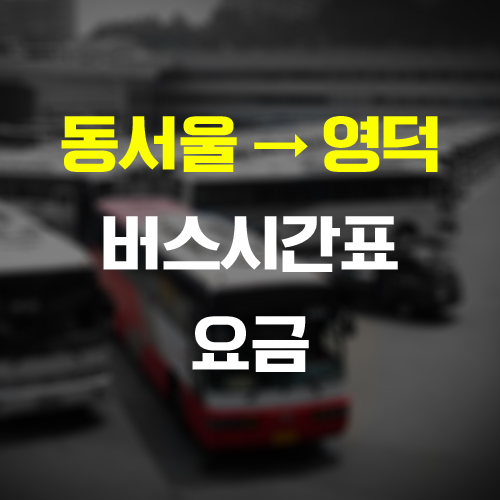  동서울 영덕 가는 버스시간표, 요금, 시간